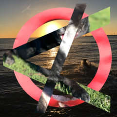 The OB