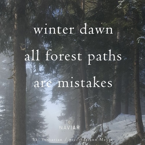 haiku #474: winter dawn / all forest paths / are mistakes