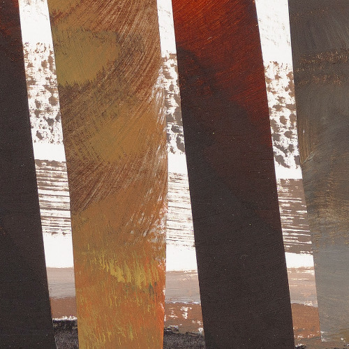 Bog Talk Episode 1 Hummock and Stream