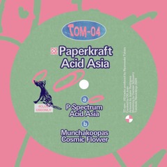 Paperkraft - P Spectrum