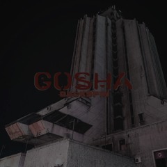 BACKSPIN -. GOSHA