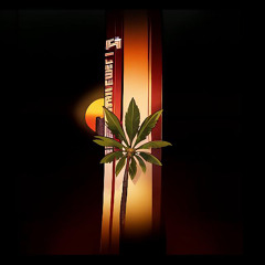 B R EN D A F A S S I E x H A R A 6 9 1 & M E M E T (DNYbeatz mixx)