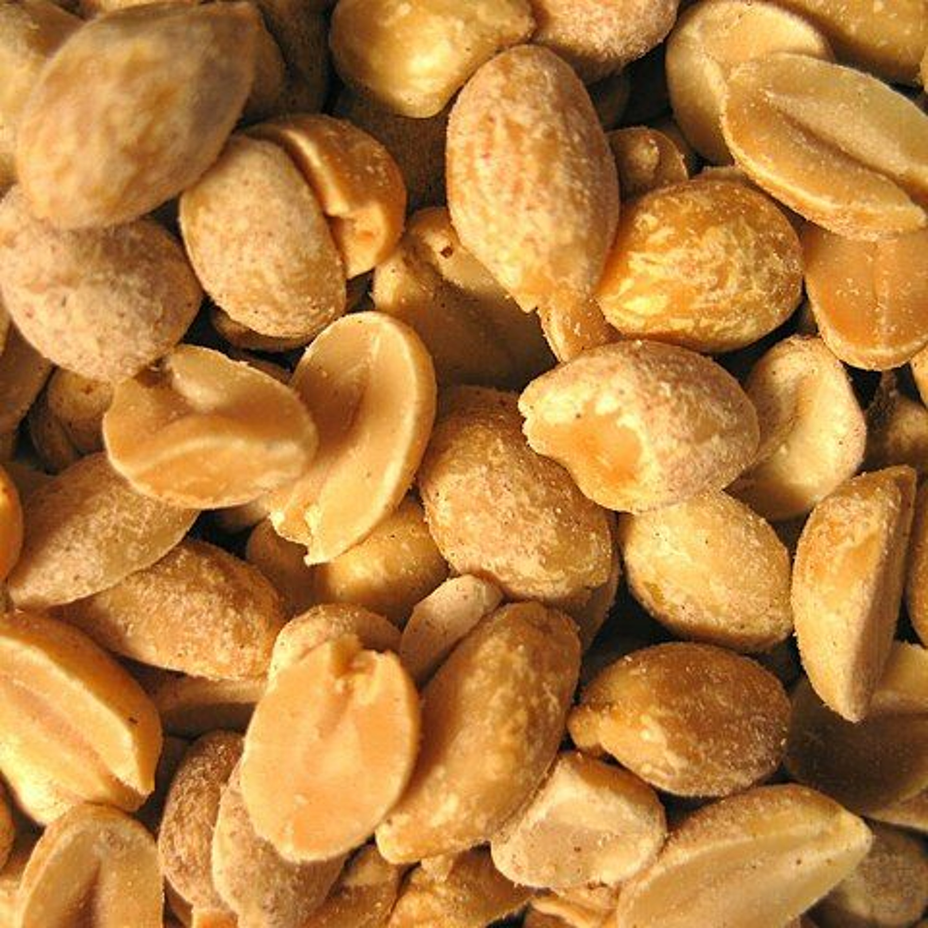 (Re-Release) Pesach - Are Peanuts Kitniyot?