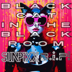 SUNPiXX, BiP! - BC In The BR  (Single, Official Audio, Short Edit)