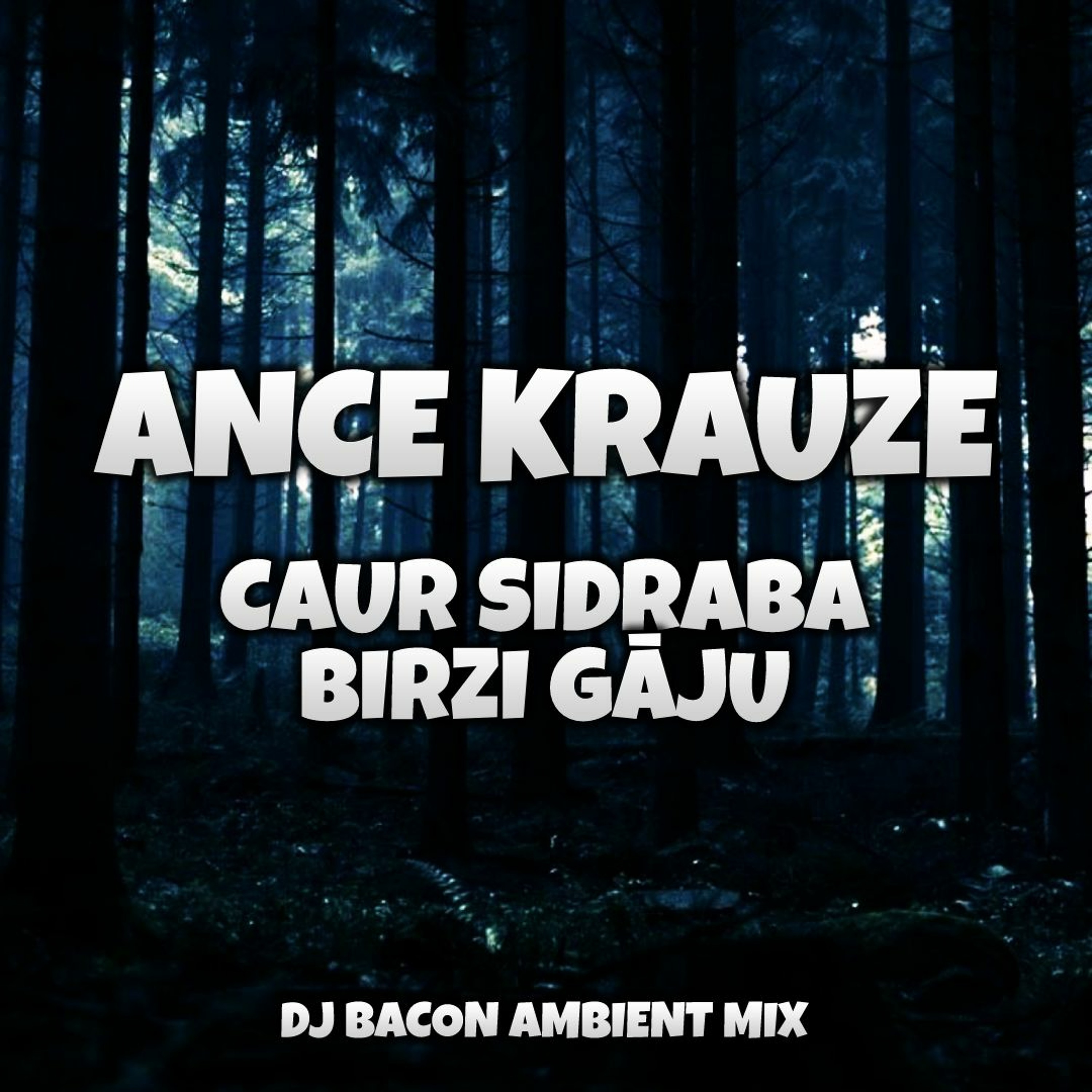 Ance Krauze - Caur sidraba birzi gāju (Dj Bacon Mix) episode artwork