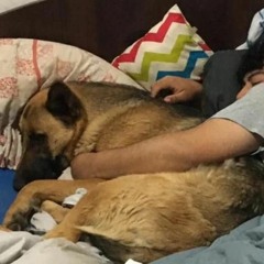 flyin lo'🌩️🌩️🌩️