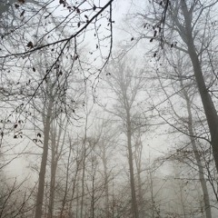 Dub Life(Reshaped V/2.1)