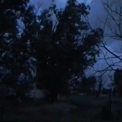 forlorn