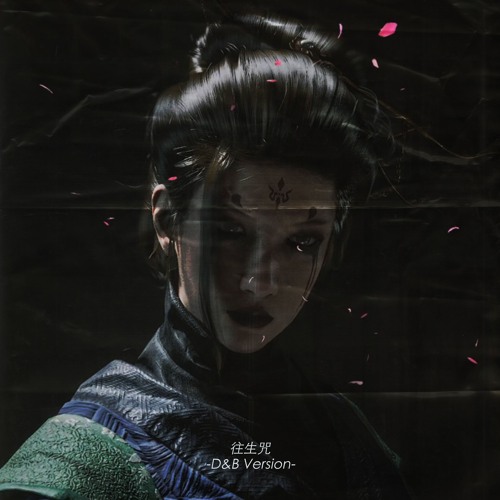 Black Myth Wukong-《往生咒》(D&B Version)