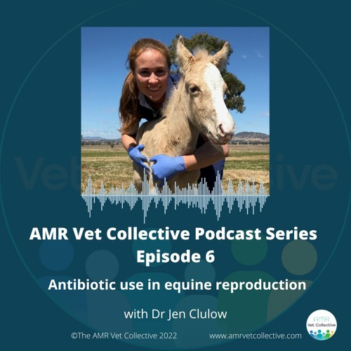Episode 6 - Equine reproduction with Jen Clulow
