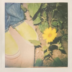 F Is For Fuck Up -Halfway Point