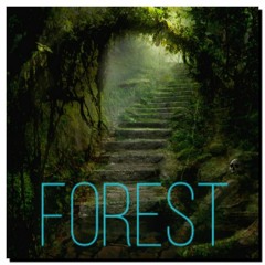 MattMk - Forest