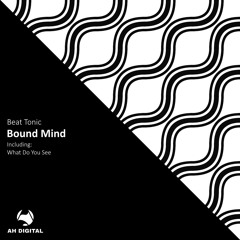 Beat Tonic - What Do You See (Original Mix)
