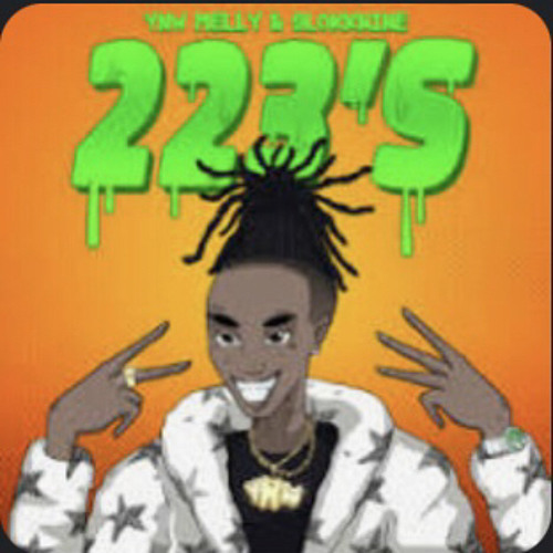 ynw melly - 223’s feat. 9lokknine (speed up)