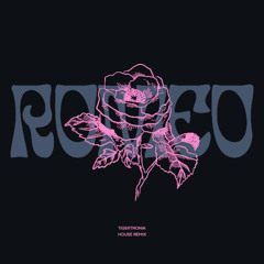 Romeo (Tigertronik House Edit)