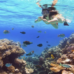 Best Beaches For Snorkeling In Crete Prices Reviews