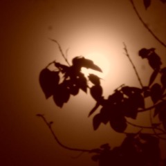 Going Down Tonight .wav