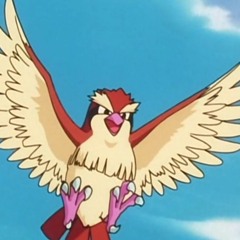 Pidgey