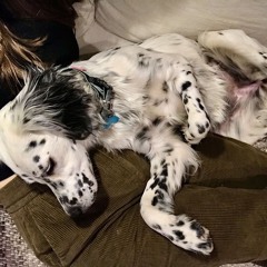 ill wait today tomorrow and the next