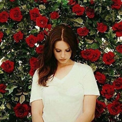Roses Mix 1