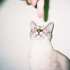 Joji - Cant Get Over You (slowed)