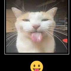 シンプルノットローファー - HASAMI group