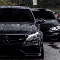 BODIEV -Черный мерин