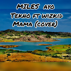 tekno ft wizkid Mama (cover).mp3