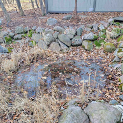 Ep. 11: Winter Ice Damage to Pond Equipment: How Minnesota’s Deep Freeze Could Cost You This Spring