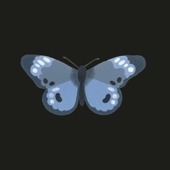 Butterfly(MP3_320K).mp3