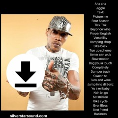 Vybz Kartel Girls Mix 2014