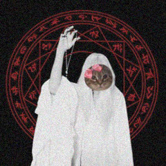 OIIA OIIA CAT×AFTER DARK