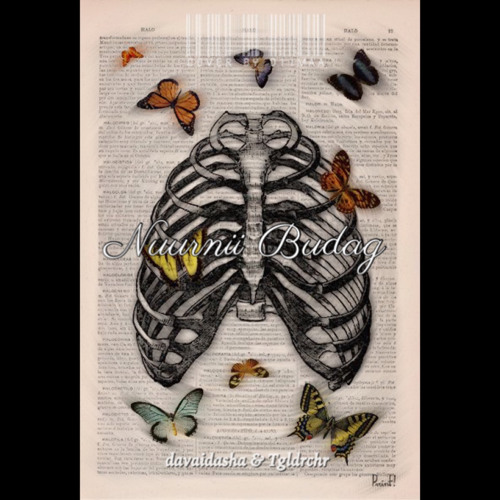 Nuurnii budag by davaidasha & Tgldrchr | COVER BY DIIMAA🦋