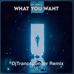 Jay Hertz-what you want (DjTranceponder Remix)