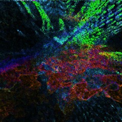 TRIPHOP_DOWNTEMPO
