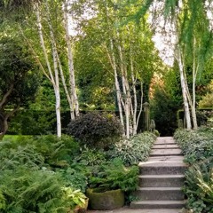 Bati l'Gani - composer Meira Warshauer