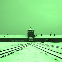 The Nazi Experiment, Vol. 7: The Nazi Rejection of Paperwork Germans