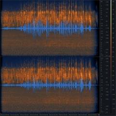 20230504 055219 CH Sihlwald Waldmatt Song Thrush (Dawn Chorus Excerpt)