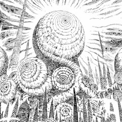 Sanct [11] Monachopsis
