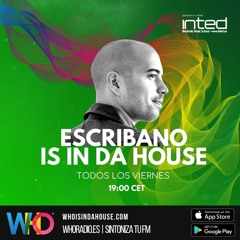 Showroom Ibiza by Escribano #137 [05 - 02 - 2021]