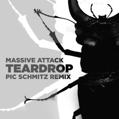 Massive Attack - Teardrop (Pic Schmitz Remix)