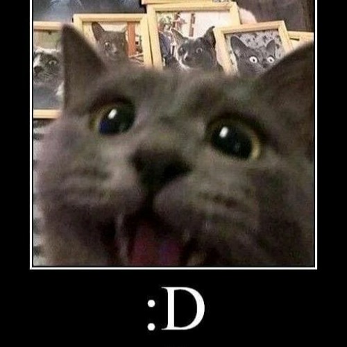 nnnbxvvaaaaxxxcdeee111111sxsxasfsfsddfas