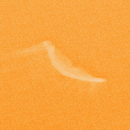 Neu