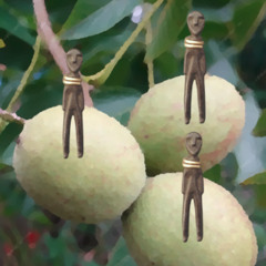green walnuts-naviarhaiku616