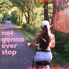 Not Gonna Ever Stop - No MDN