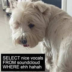 nice vocals