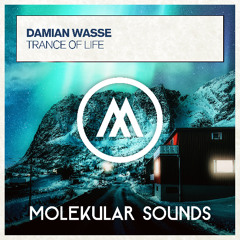 Damian Wasse - Trance Of Life