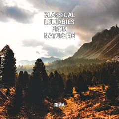 Beethoven : Piano Sonata No.22 In F Major Op.54 - II. Allegretto