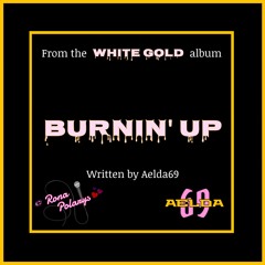 Burnin' Up