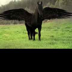 s.maharba   good girl